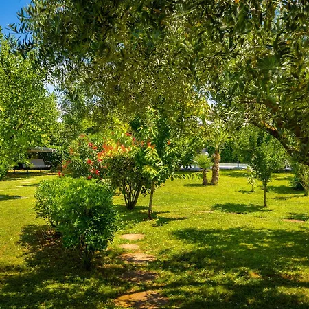 Country House Apartments Apartment *