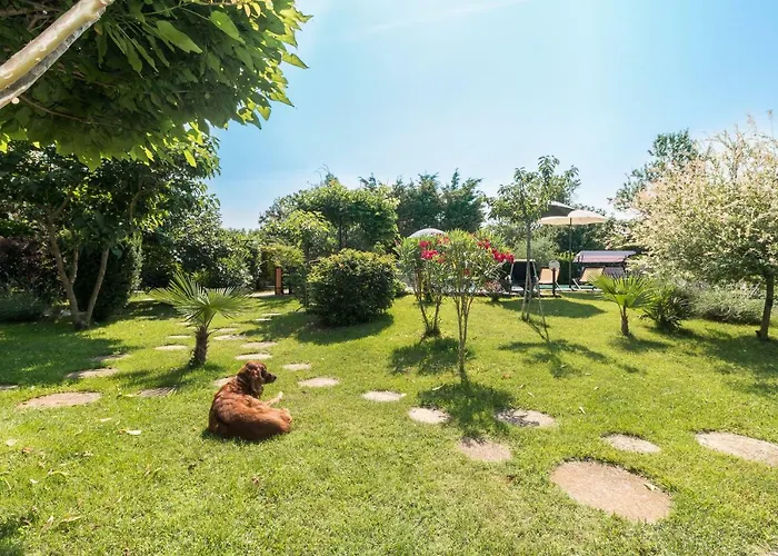 Country House Apartments プーラ
